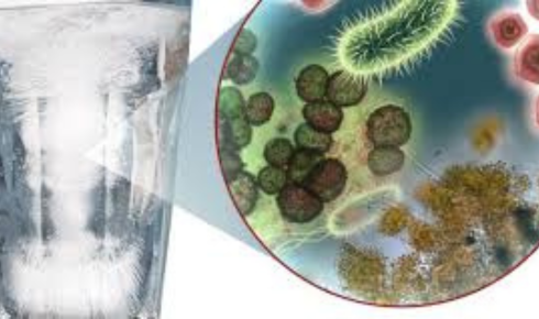 When the Water Turns Hostile: Understanding the Invisible Threat of Bacteria in Water