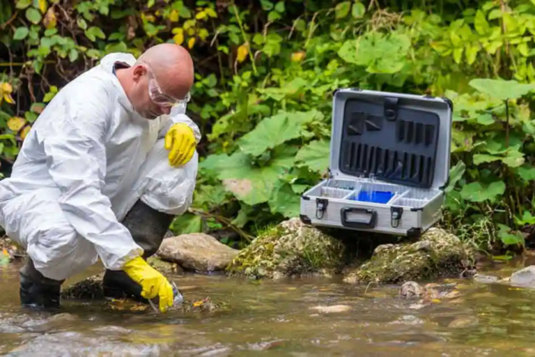 Why Staying Engaged with Environmental Issues Matters More Than Ever